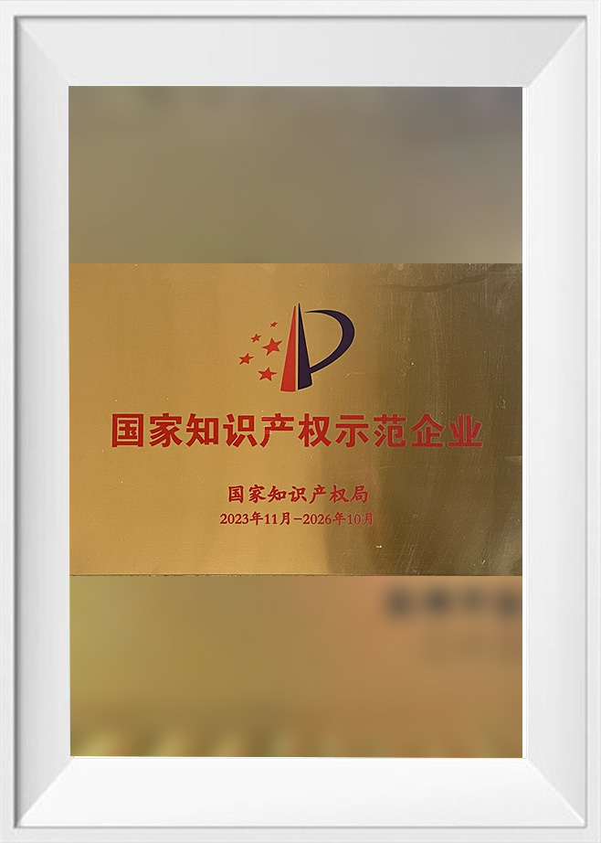 National Intellectual Property Demonstration Enterprise